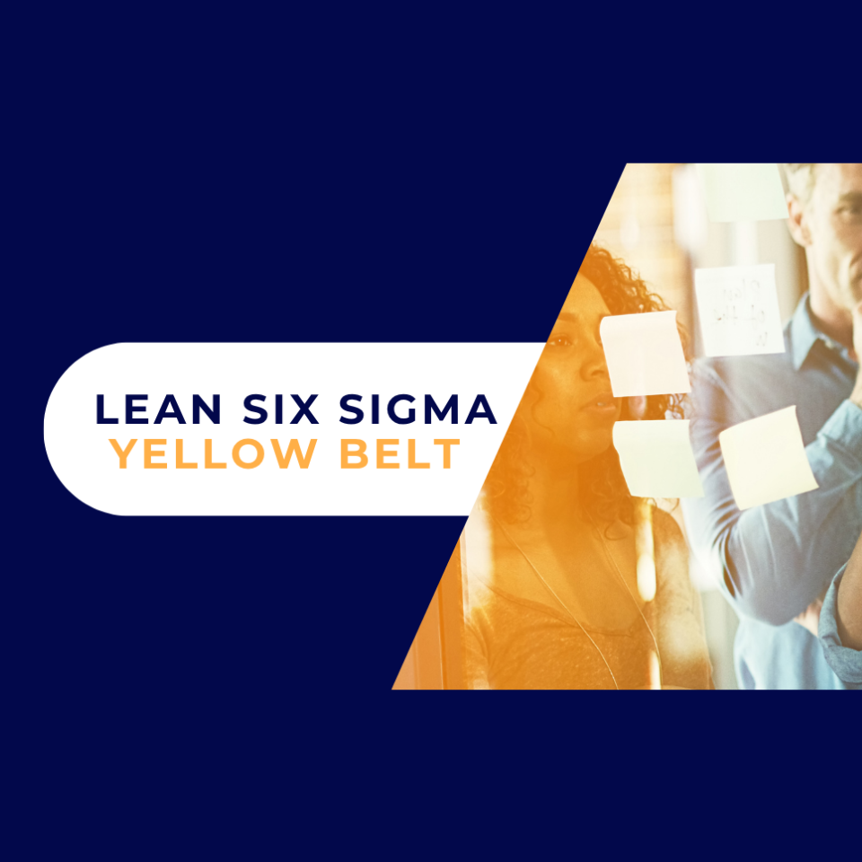 Lean Six Sigma