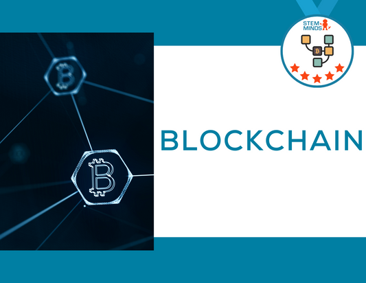 Introduction to Blockchain: Advanced STEM