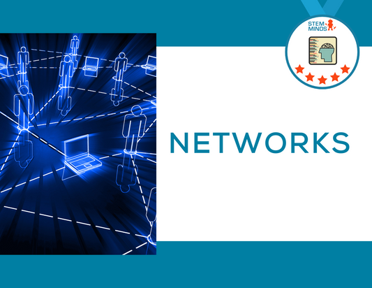 Introduction to Networks: Advanced STEM