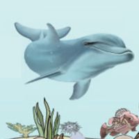 Dolphins: Immersion Learning